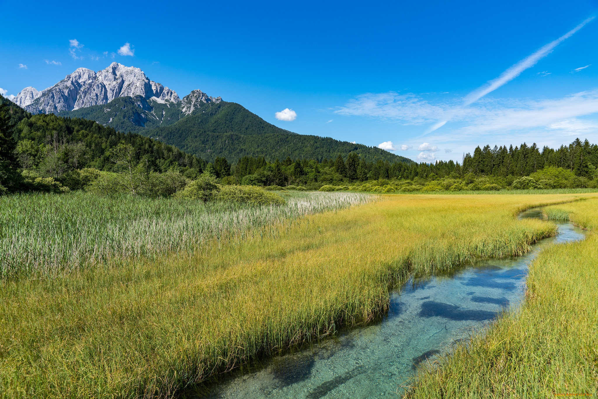 , , , kranjska, gora, zelenci, 